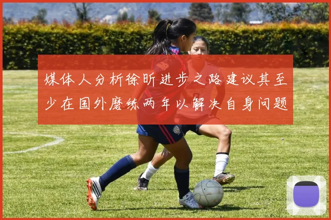 媒体人分析徐昕进步之路建议其至少在国外磨练两年以解决自身问题