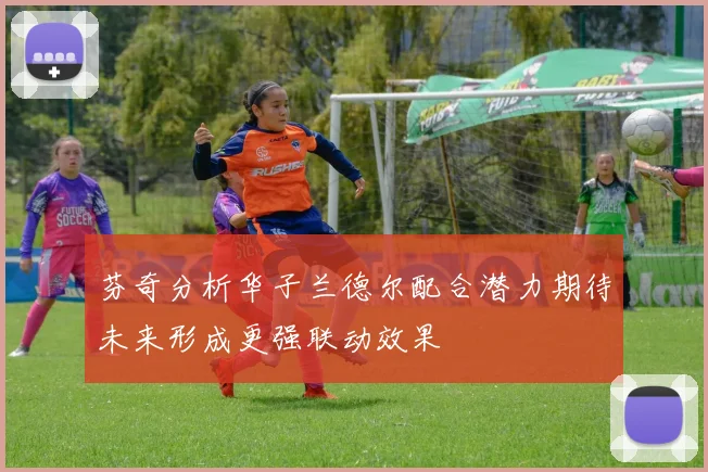 芬奇分析华子兰德尔配合潜力期待未来形成更强联动效果